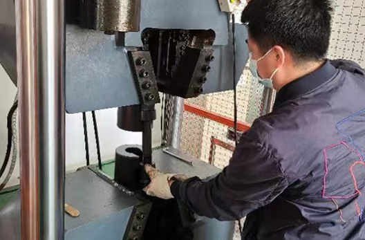 Inspection